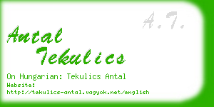 antal tekulics business card